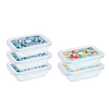 [Edition Limitée] Cook & Go - Lot de 5 Lunch Box rectangulaires en verre avec couvercle hermétique